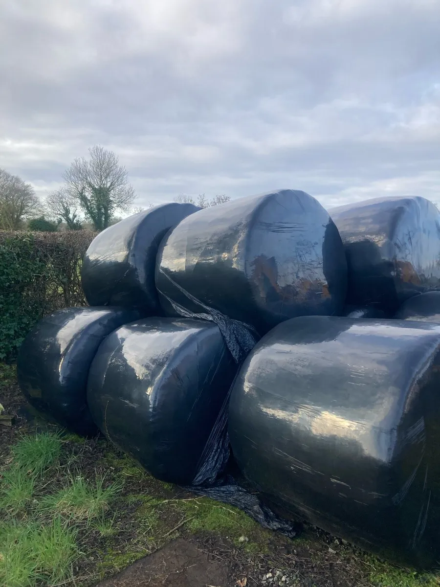 Round bales - Image 2