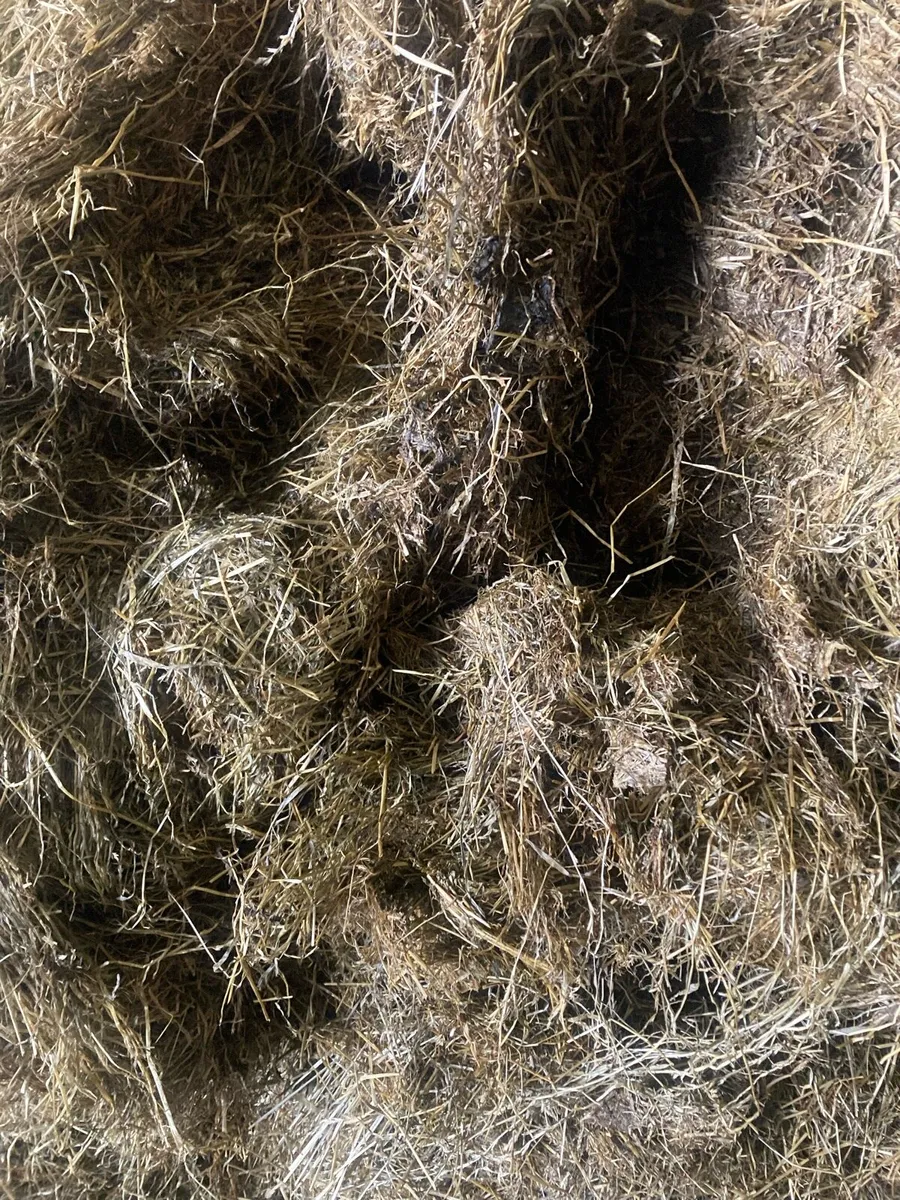 Round bales - Image 4