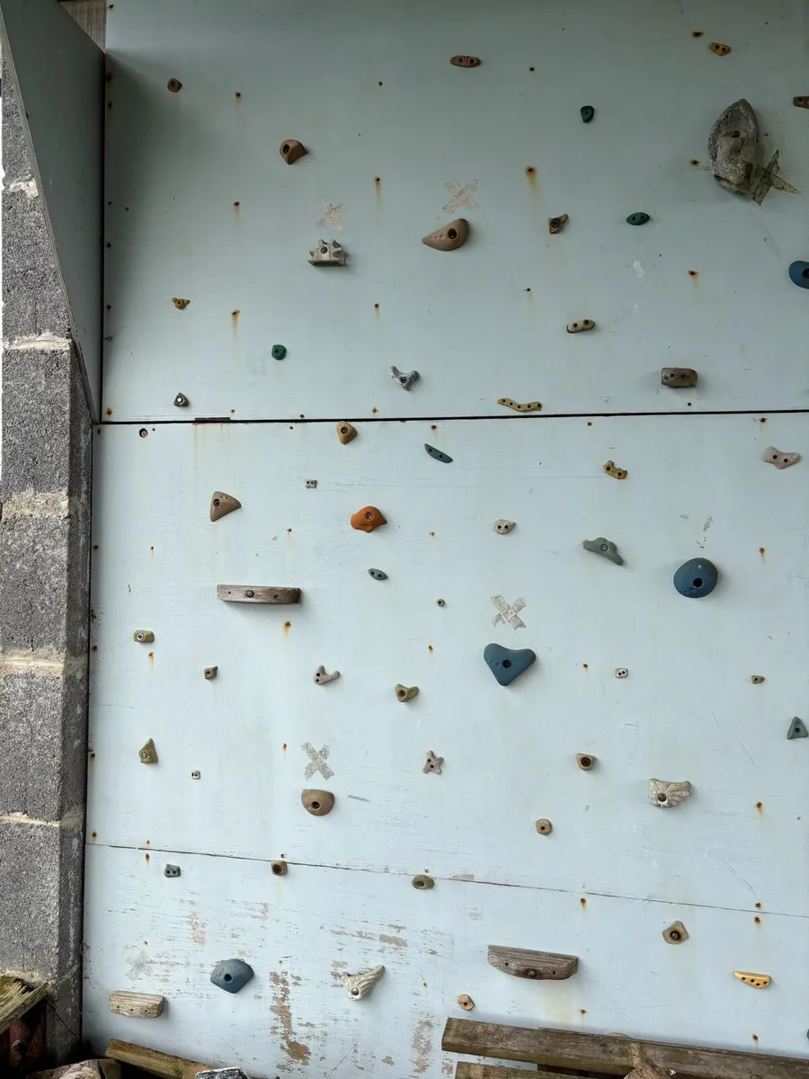 Climbing Wall Holds - Image 2