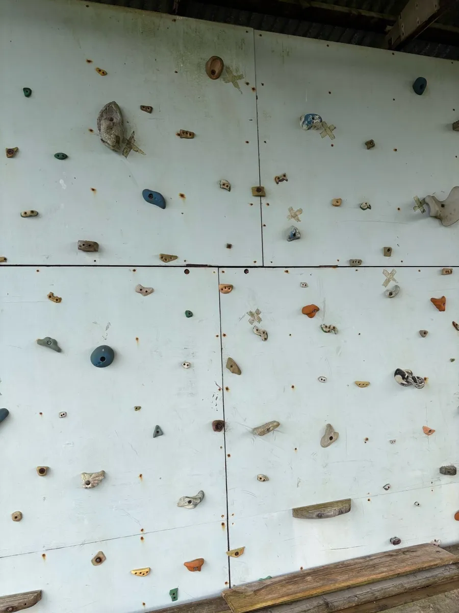 Climbing Wall Holds - Image 3