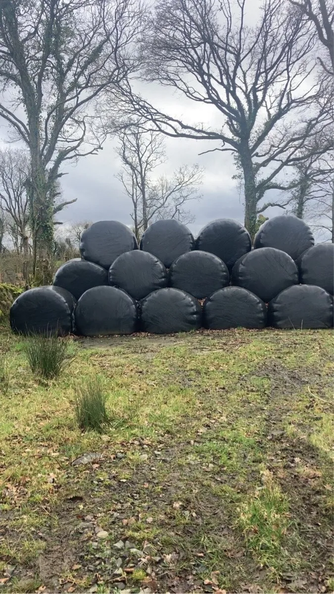 Round Bales of Silage