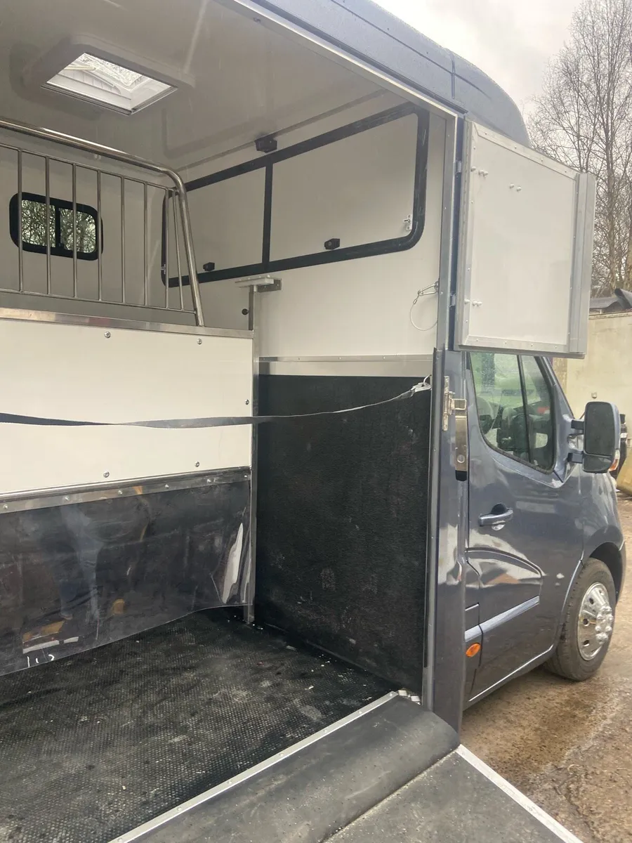 Brand new 3.5 tonnes 2 stall Horsebox - Image 2