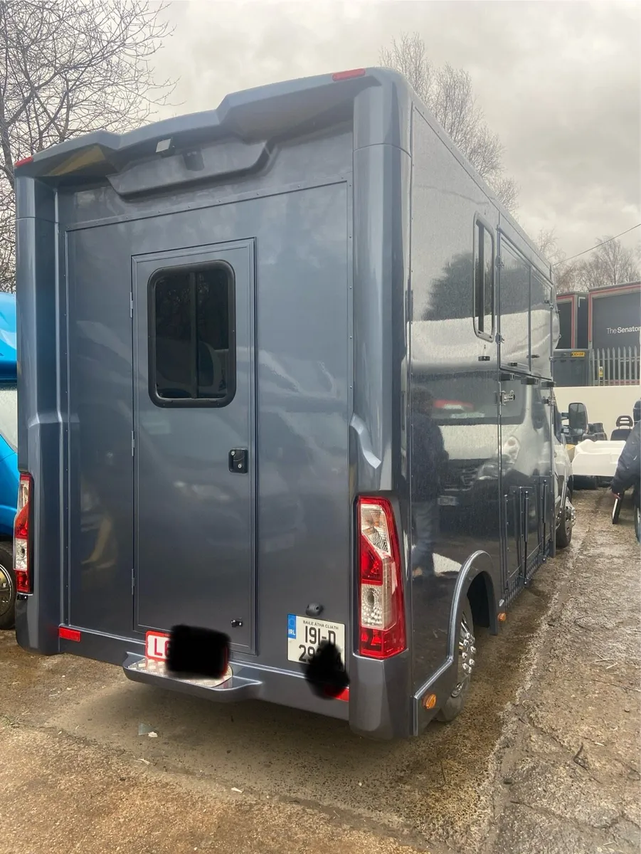 Brand new 3.5 tonnes 2 stall Horsebox - Image 4