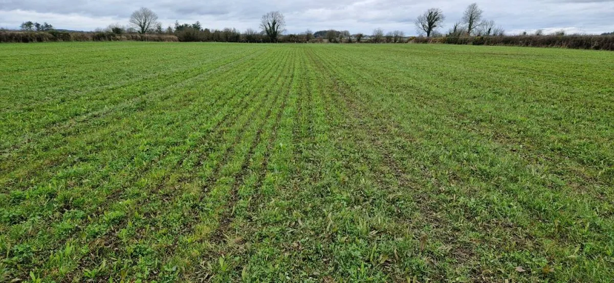 Slurry Import Available