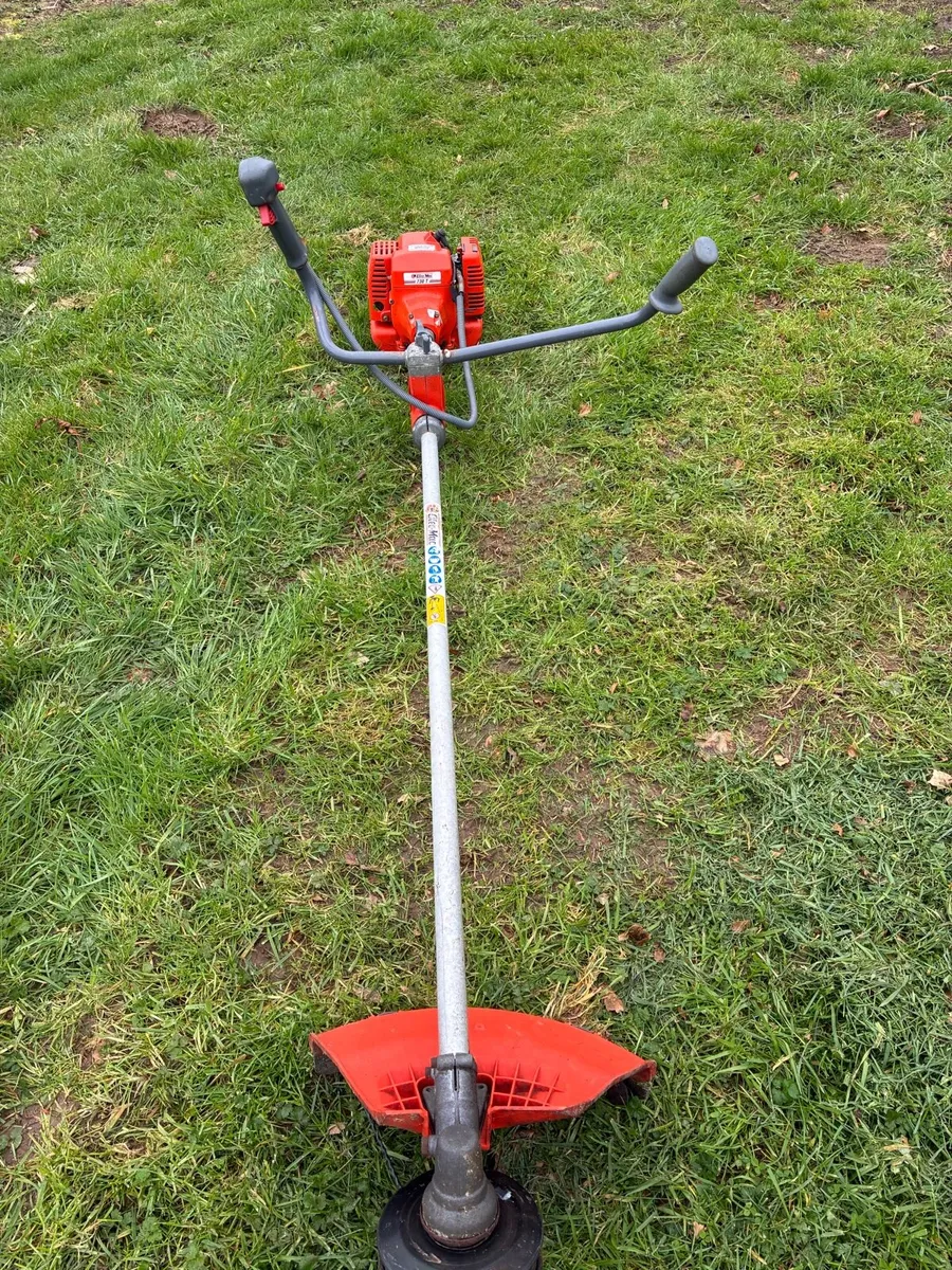 Strimmer - Image 1