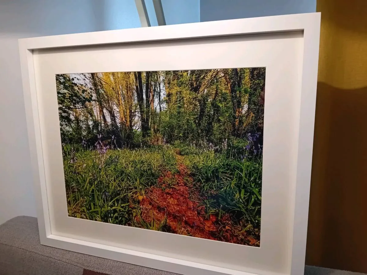 Ballyannon Woods, Midleton - Image 4