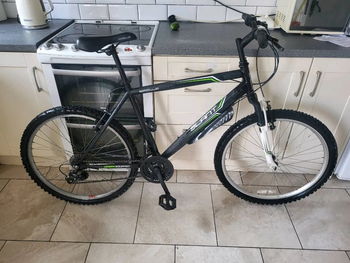 Mountain bike - Image 1