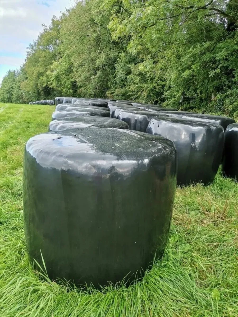 4x4 chopped Round bale silage - Image 2