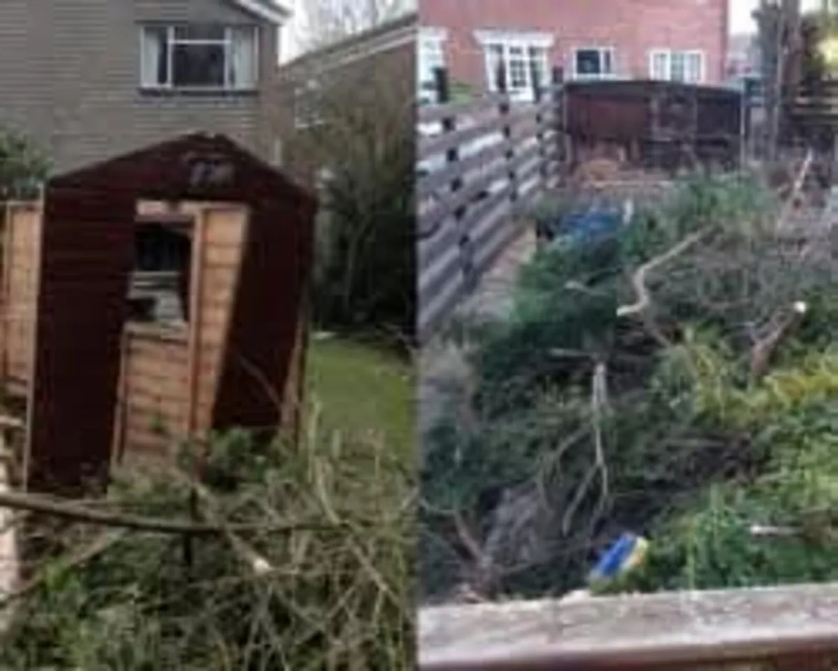 All class steam cleaning and garden - Image 1