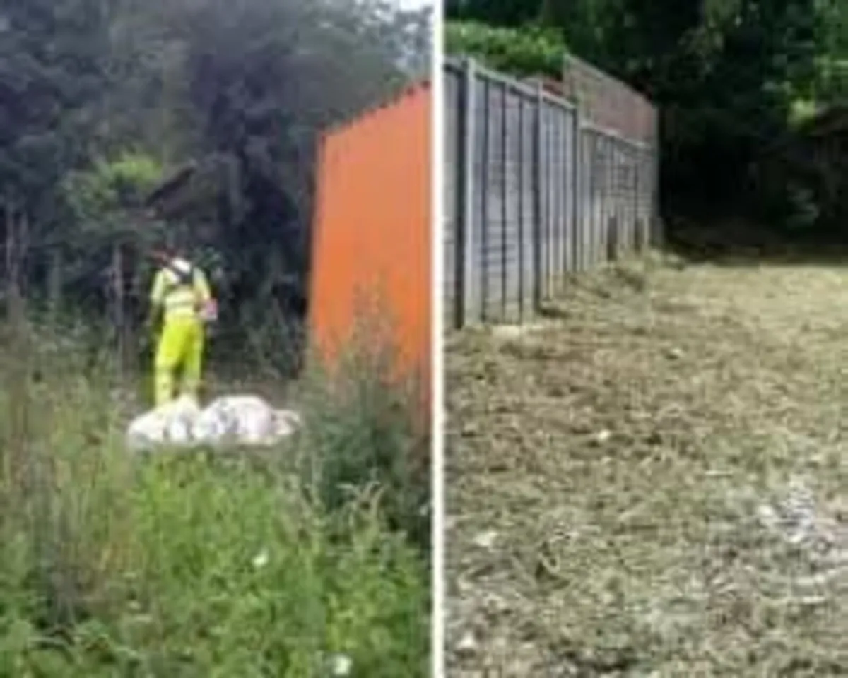 All class steam cleaning and garden - Image 2