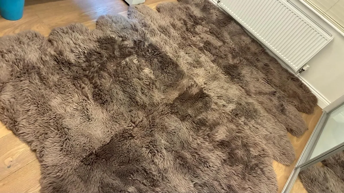 Natural Sheepskin rug XXL huge - Image 3