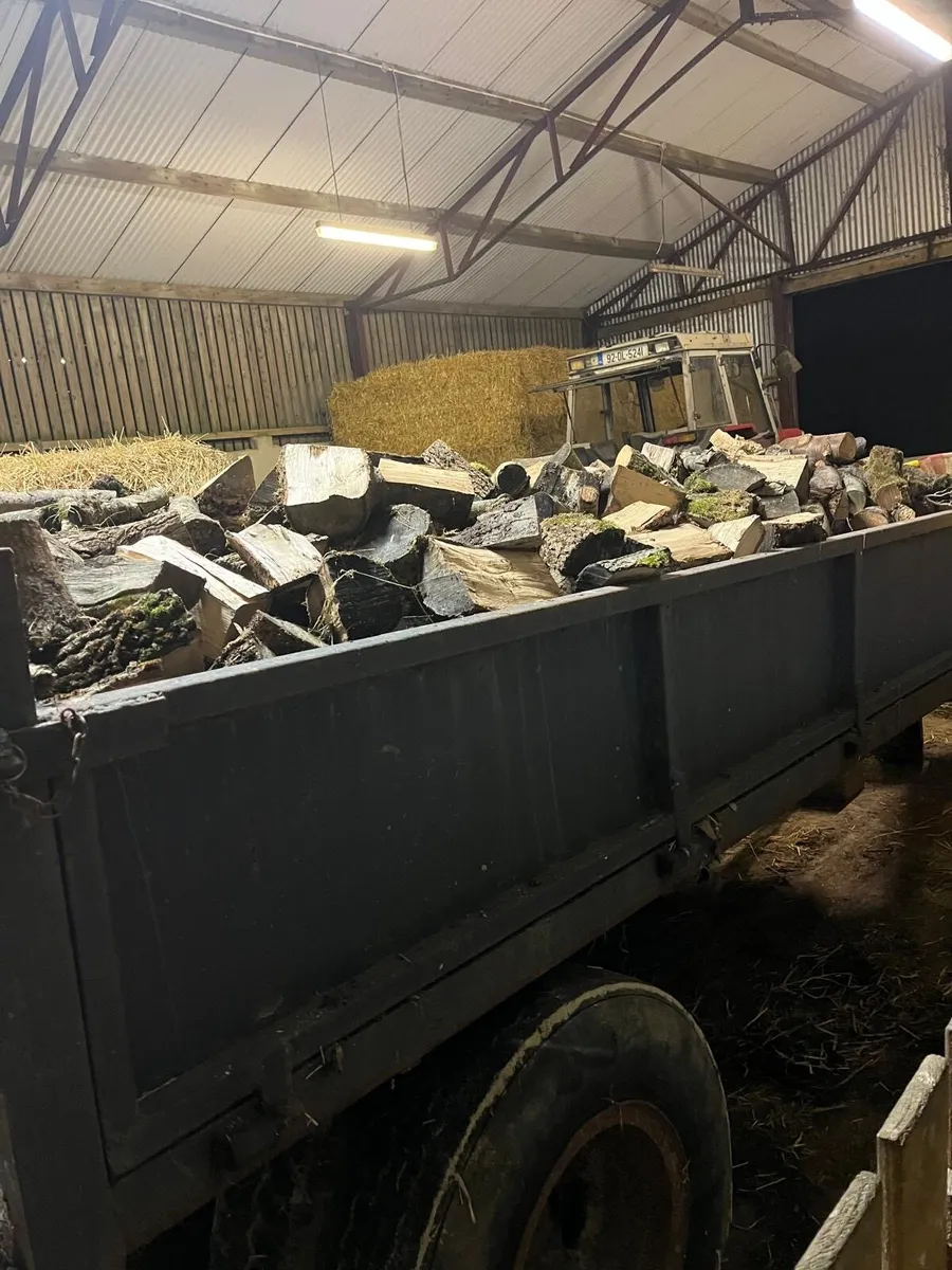 Trailer load of hardwood logs 🪵