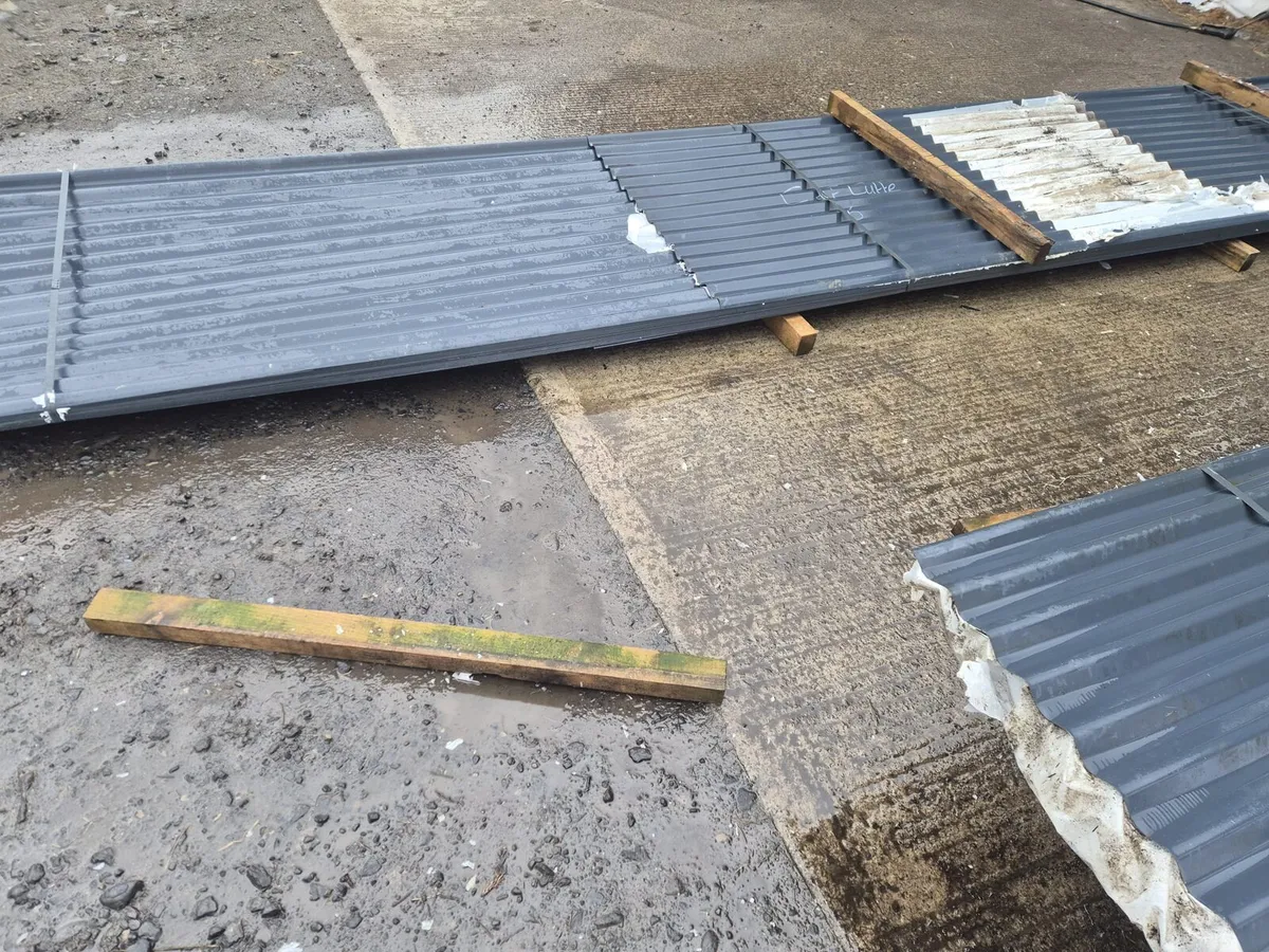 Sheeting  for 60 x 36 shed - Image 2