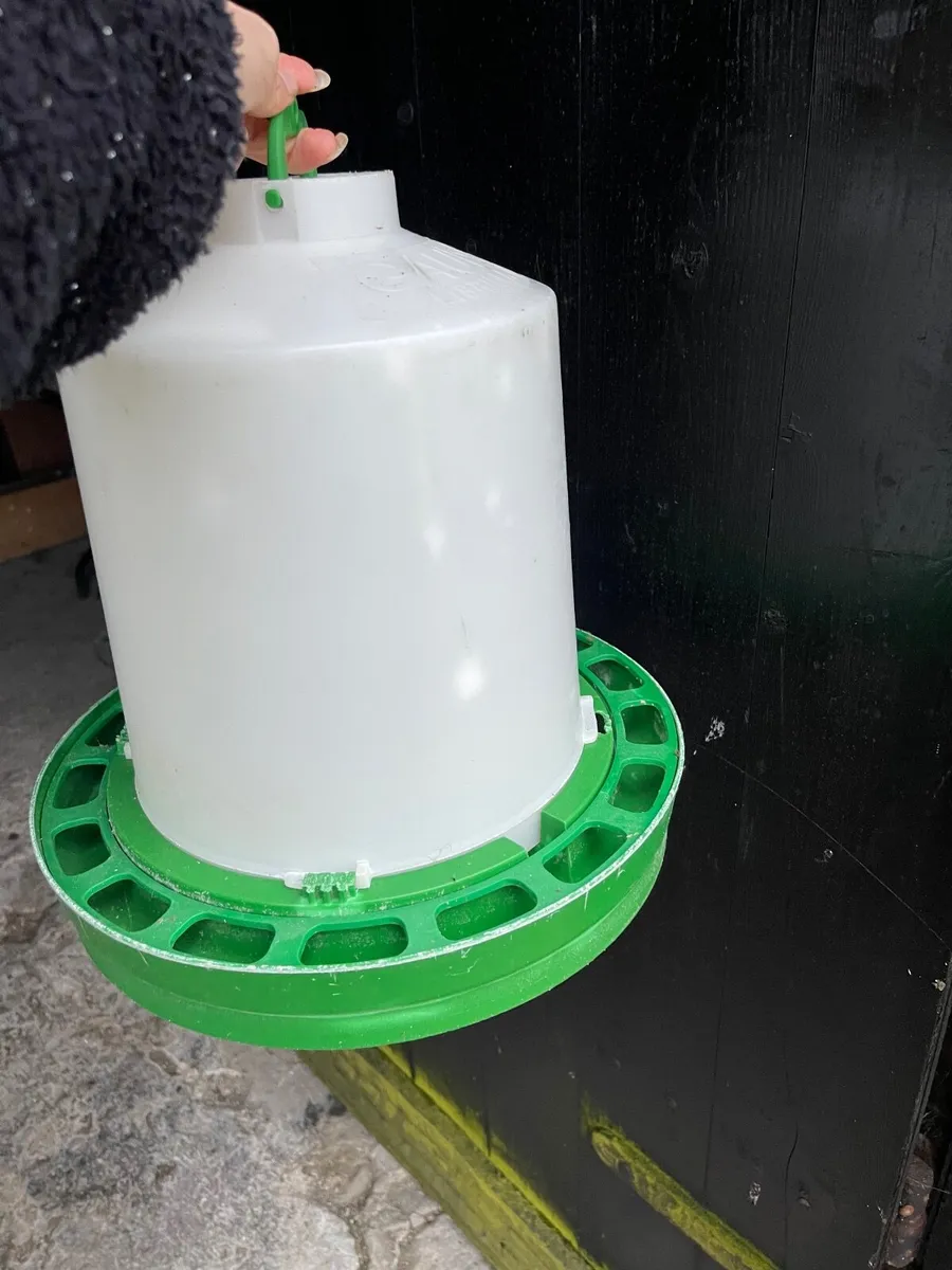 Poultry drinkers for chicks - Image 2