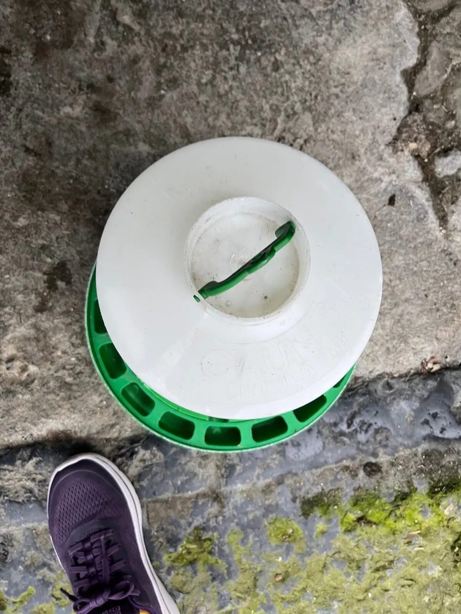 Poultry drinkers for chicks - Image 3