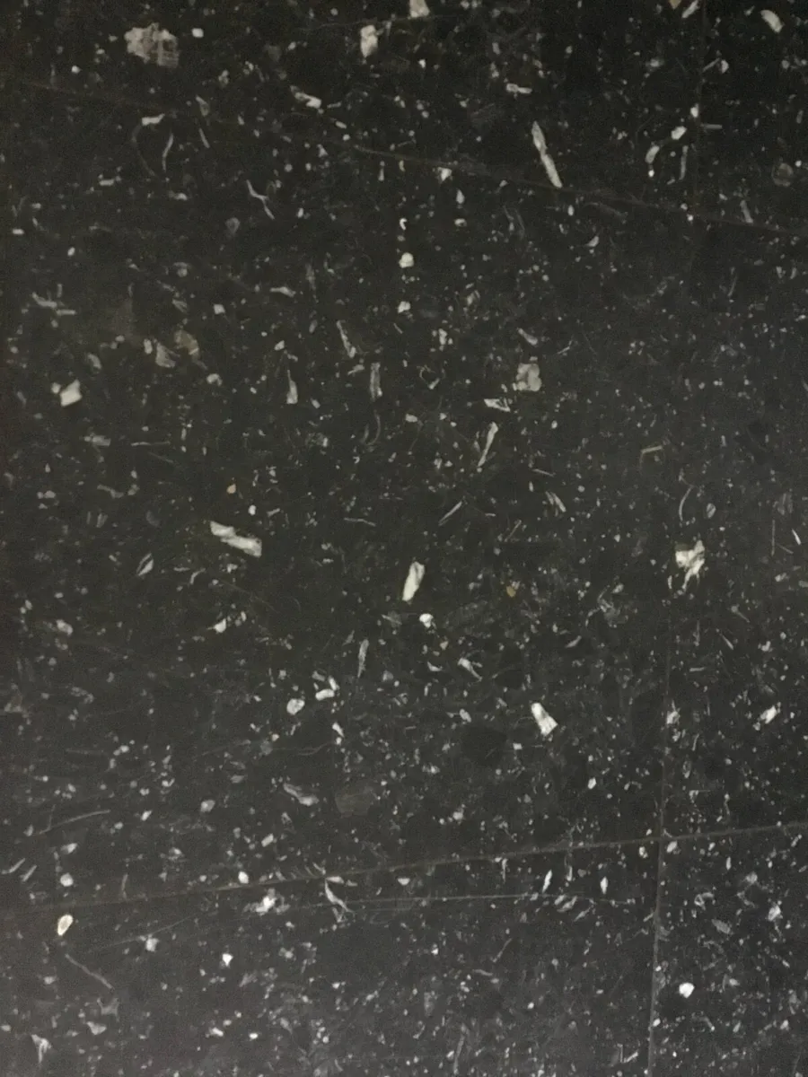 Wanted Black Speckled Floor Tiles - Image 1