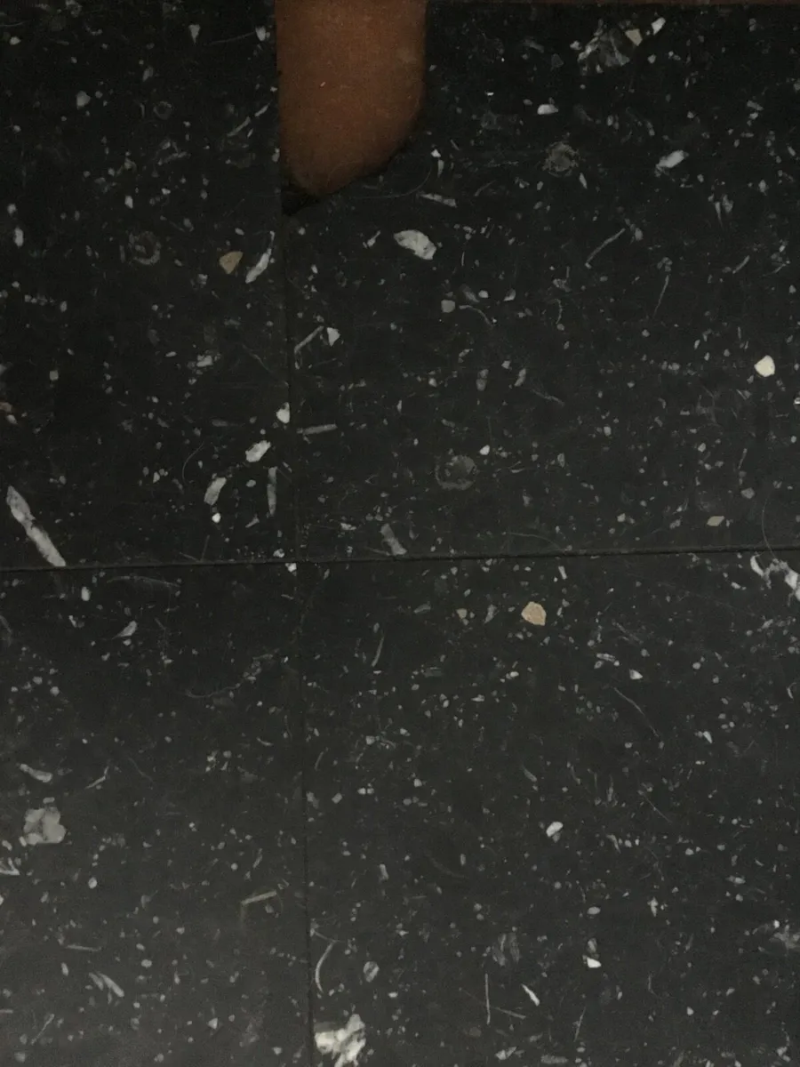 Wanted Black Speckled Floor Tiles - Image 2