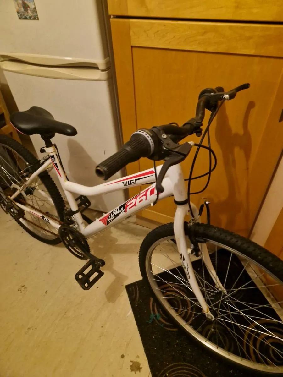 Adult bike - Image 1