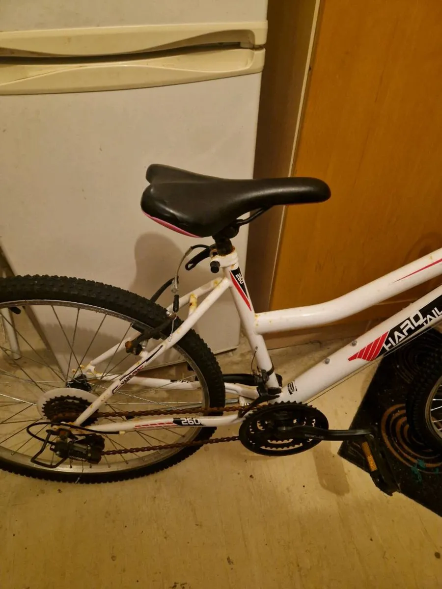 Adult bike - Image 2