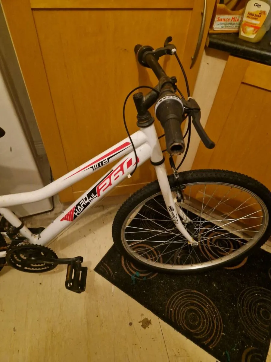 Adult bike - Image 4