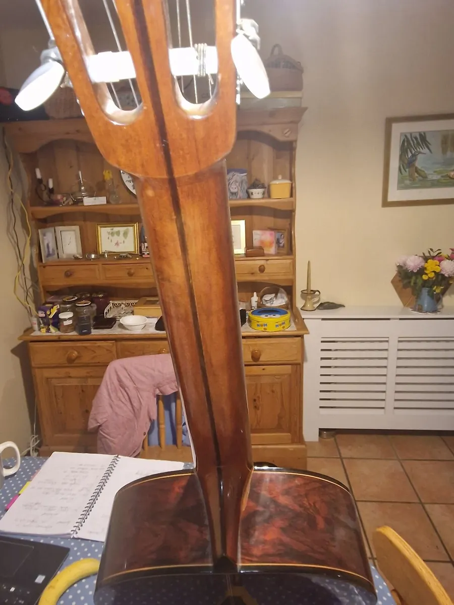 Classical Guitar - Image 4