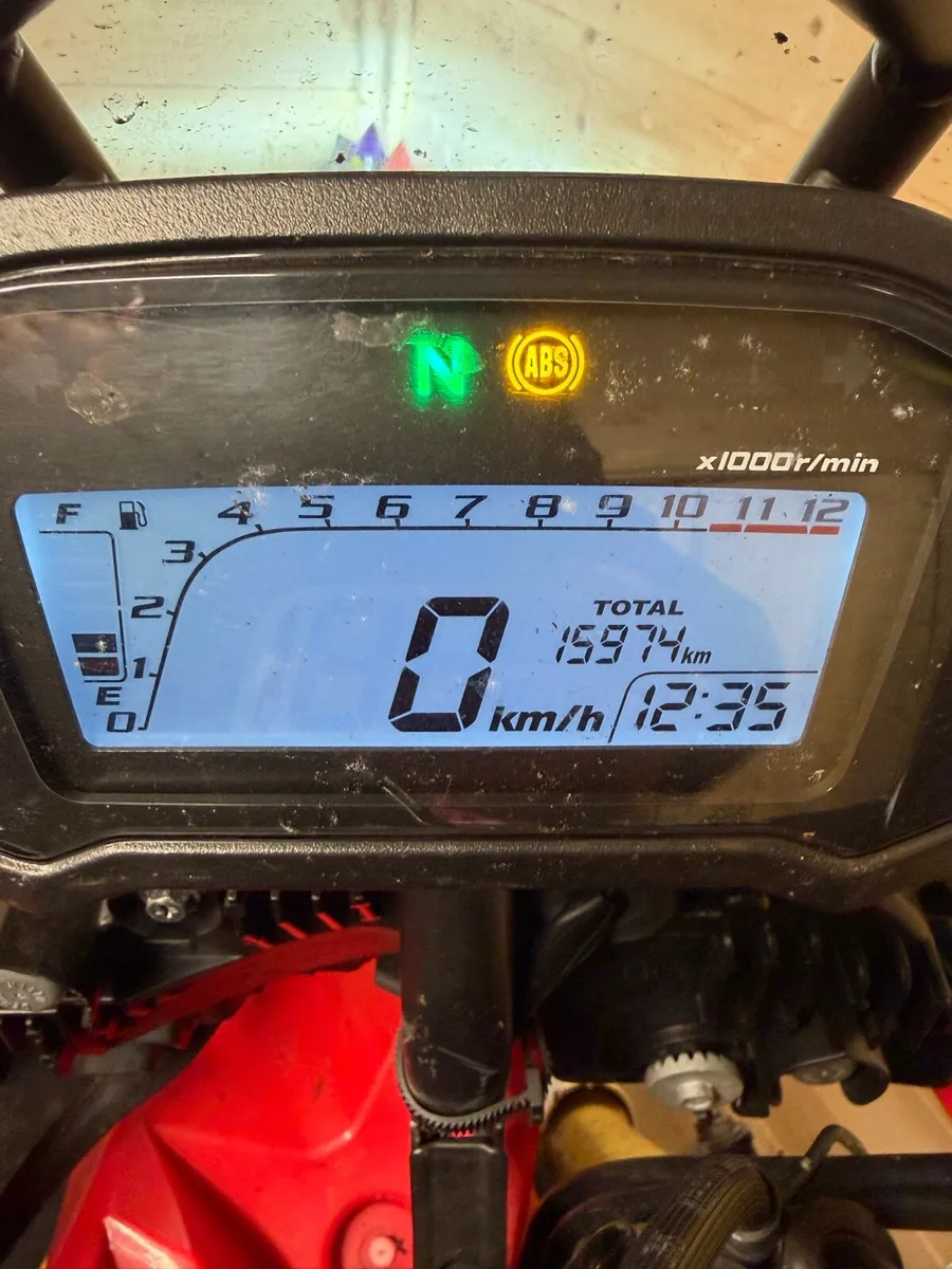 2019 Honda CRF250 Rally - Image 3