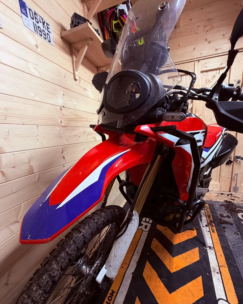 2019 Honda CRF250 Rally - Image 1