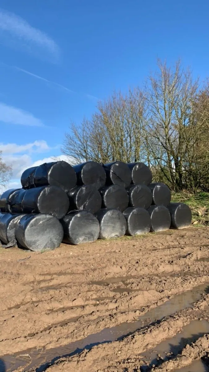 Silage bales