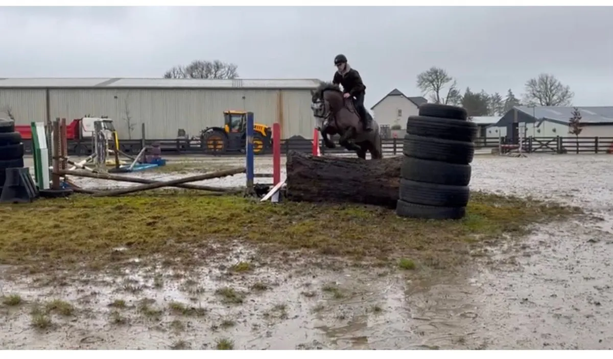 Super all rounder - Image 2