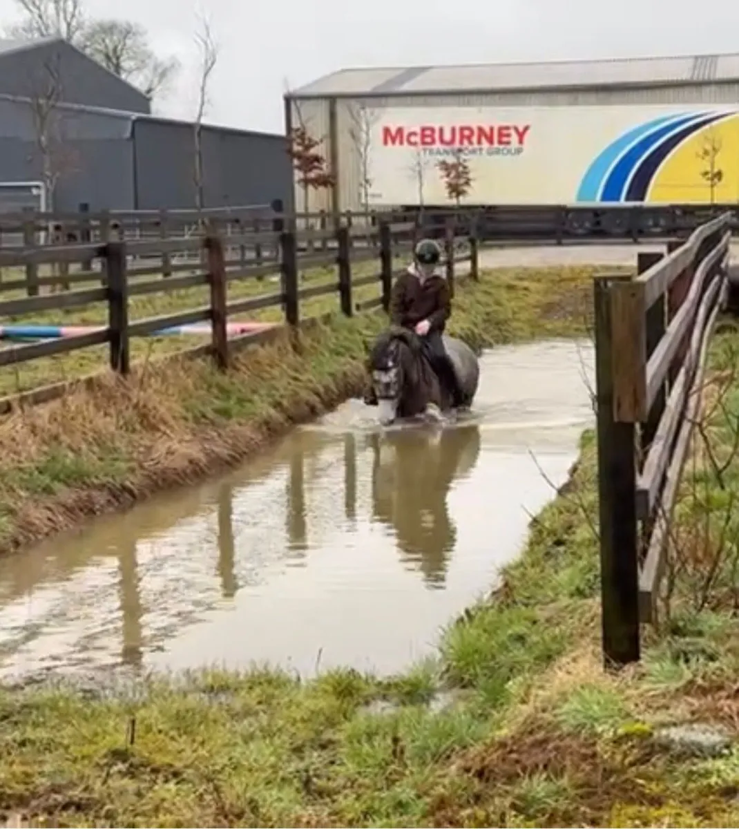 Super all rounder - Image 4