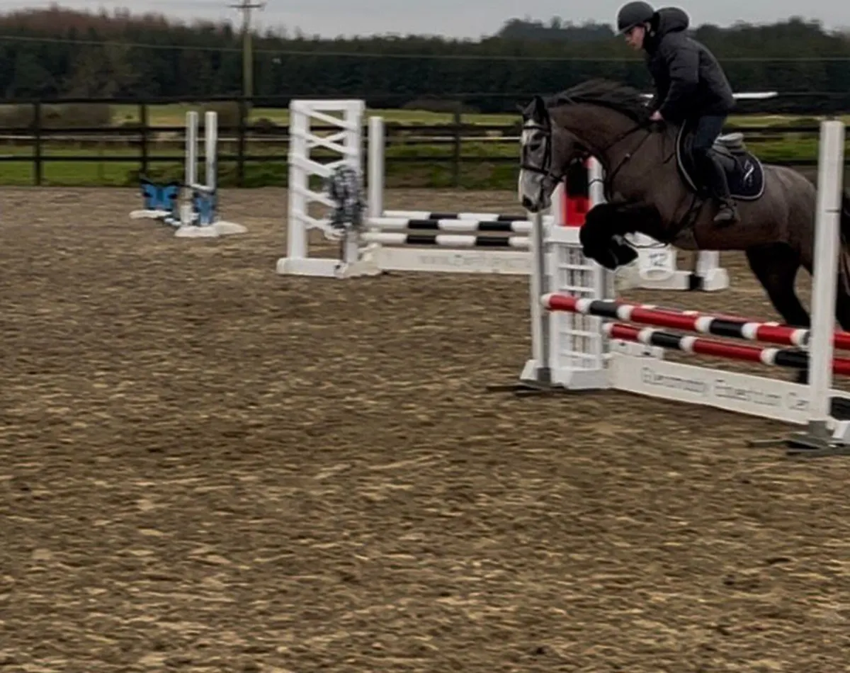 Super all rounder - Image 3