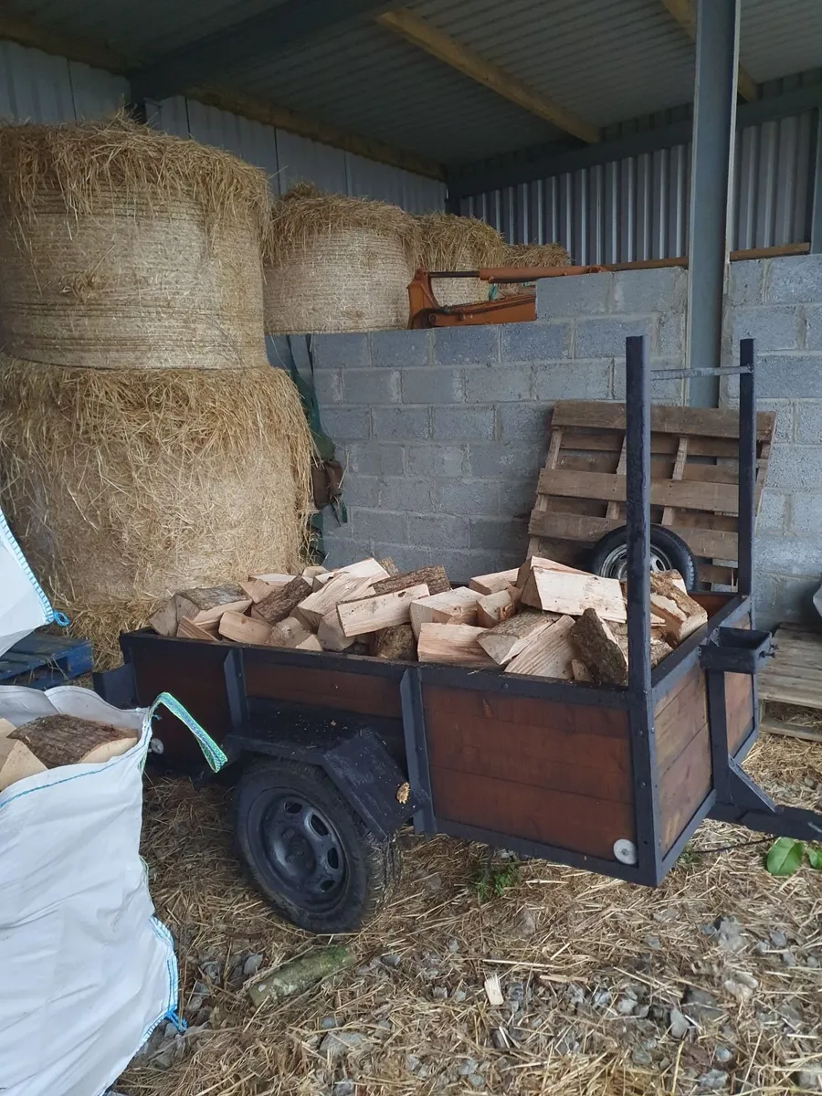 Ash Hardwood firewood - Image 4