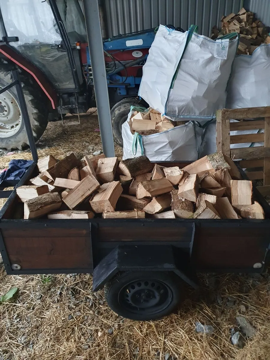 Ash Hardwood firewood - Image 1