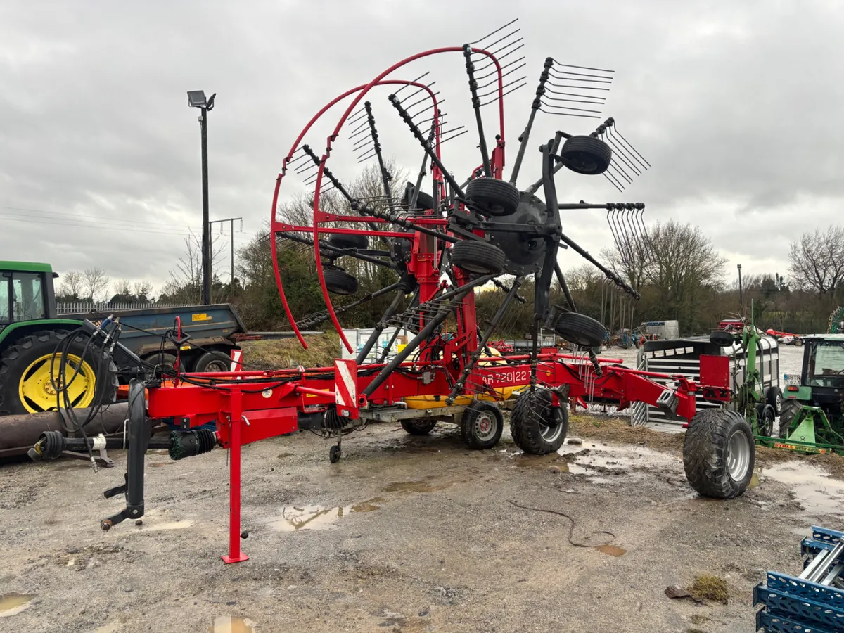 Portlaoise Auction Yard Full for next week - Image 4