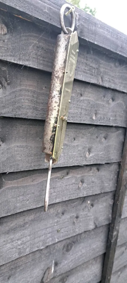 Old brass  slatter weighing schales - Image 3