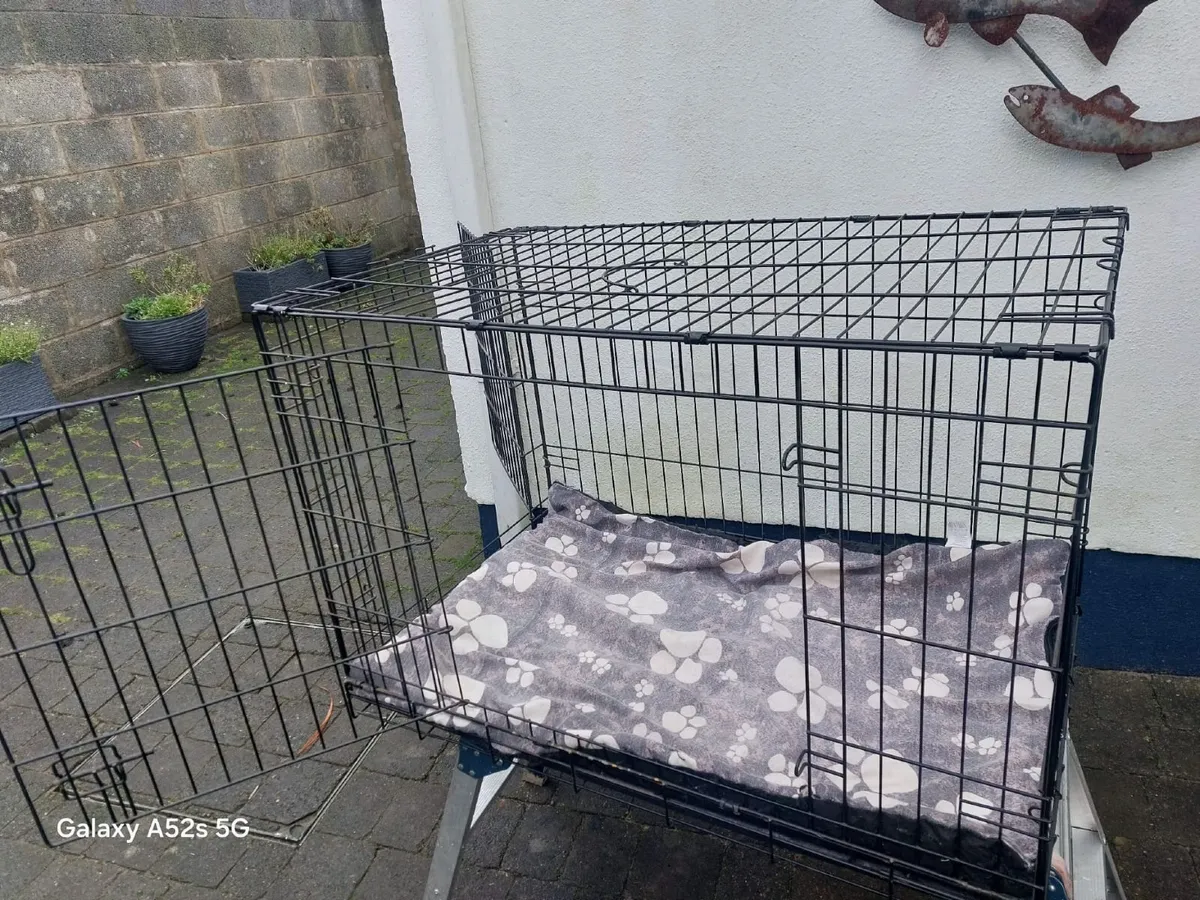 Dog Crate - large - Image 4