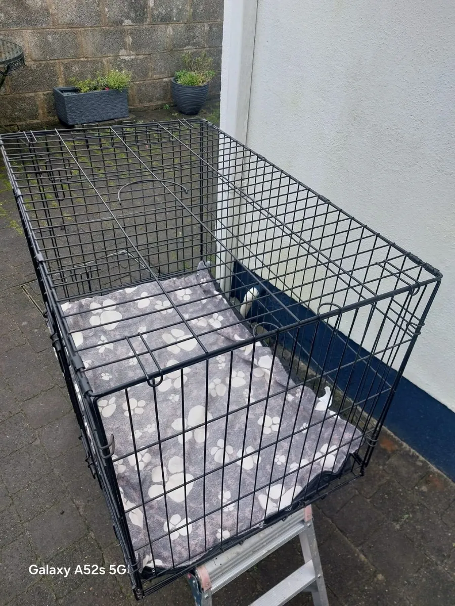 Dog Crate - large - Image 3