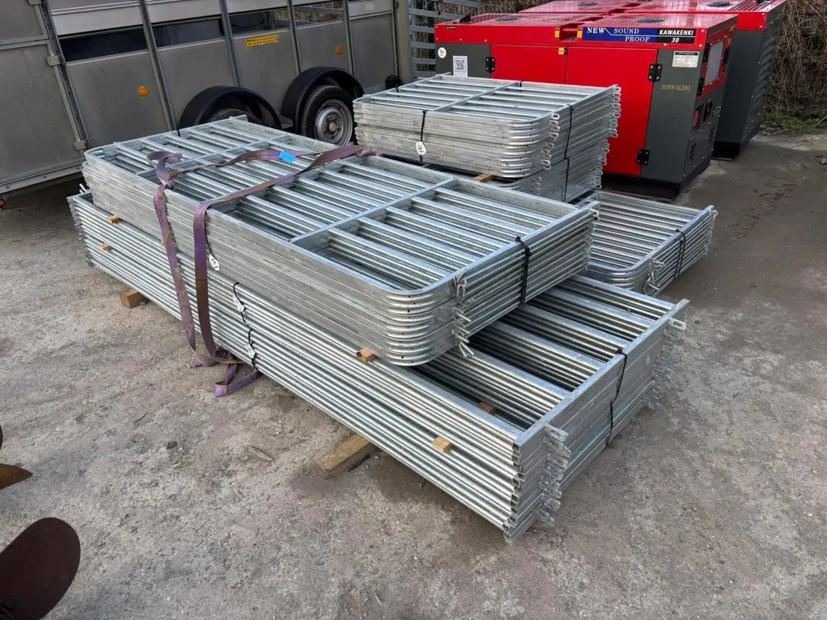 Sheep gates for online auction - Image 1
