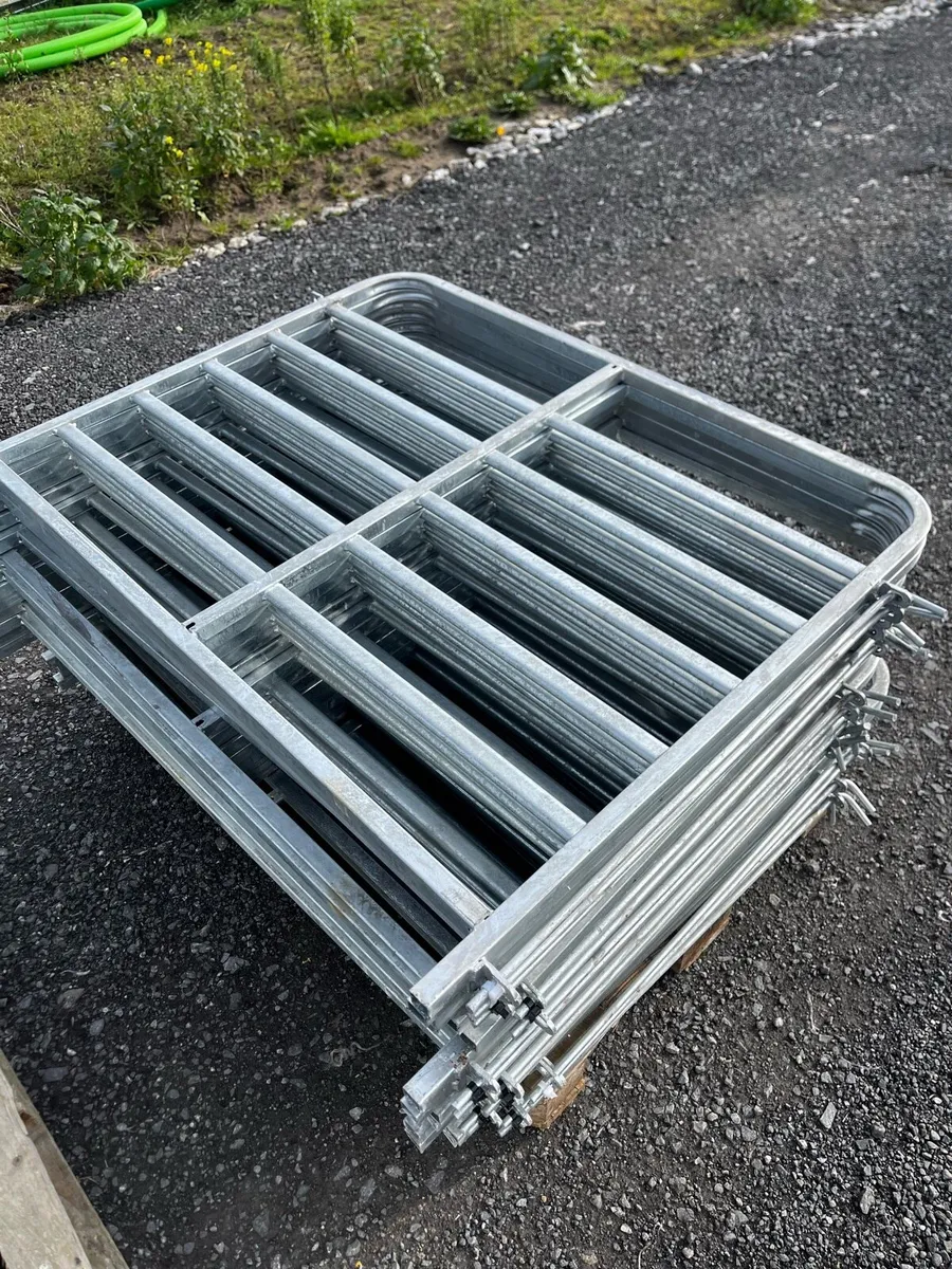 Sheep gates for online auction - Image 2
