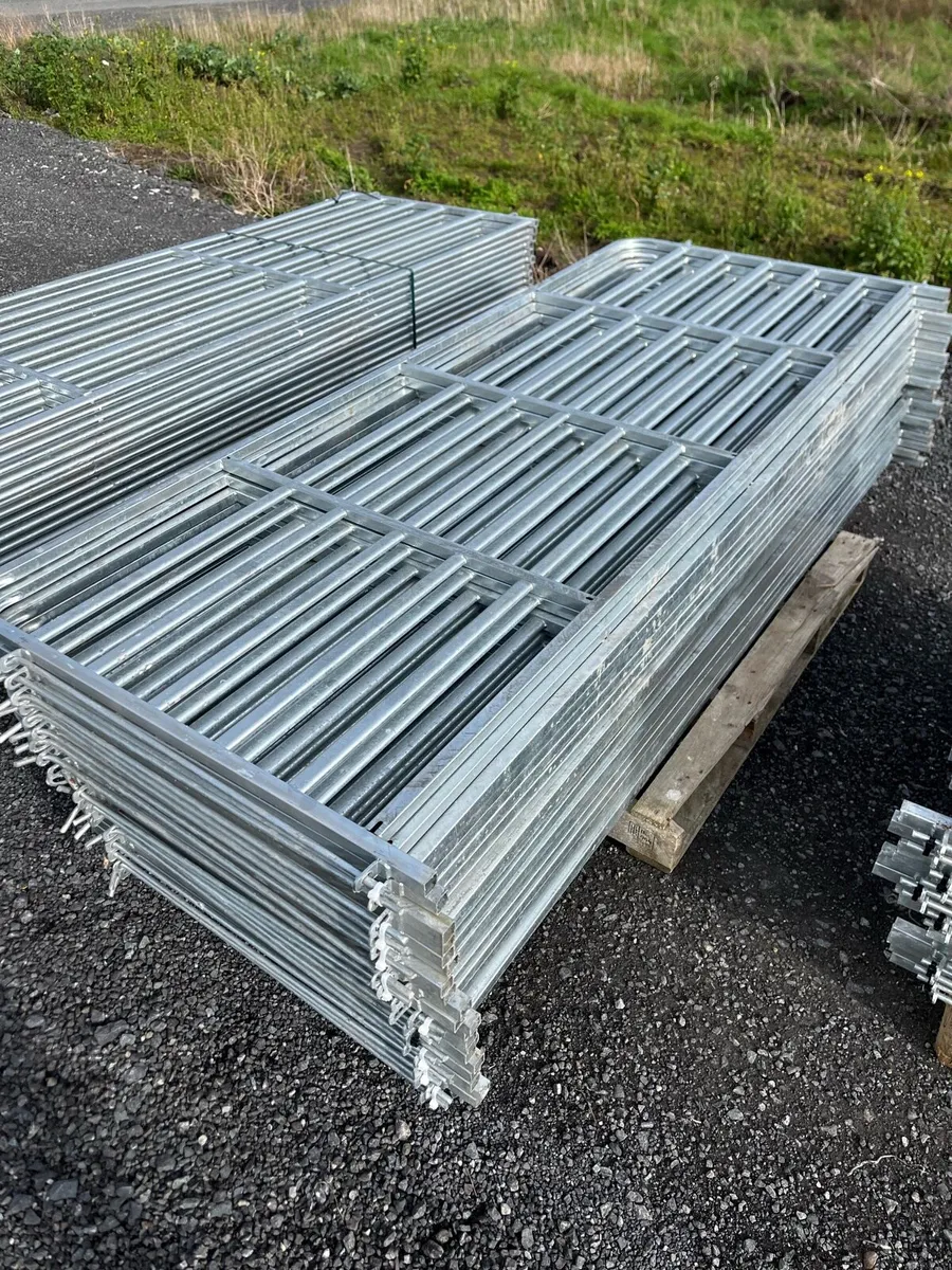 Sheep gates for online auction - Image 3