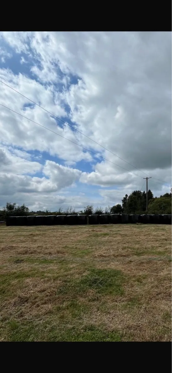Round bales - Image 2