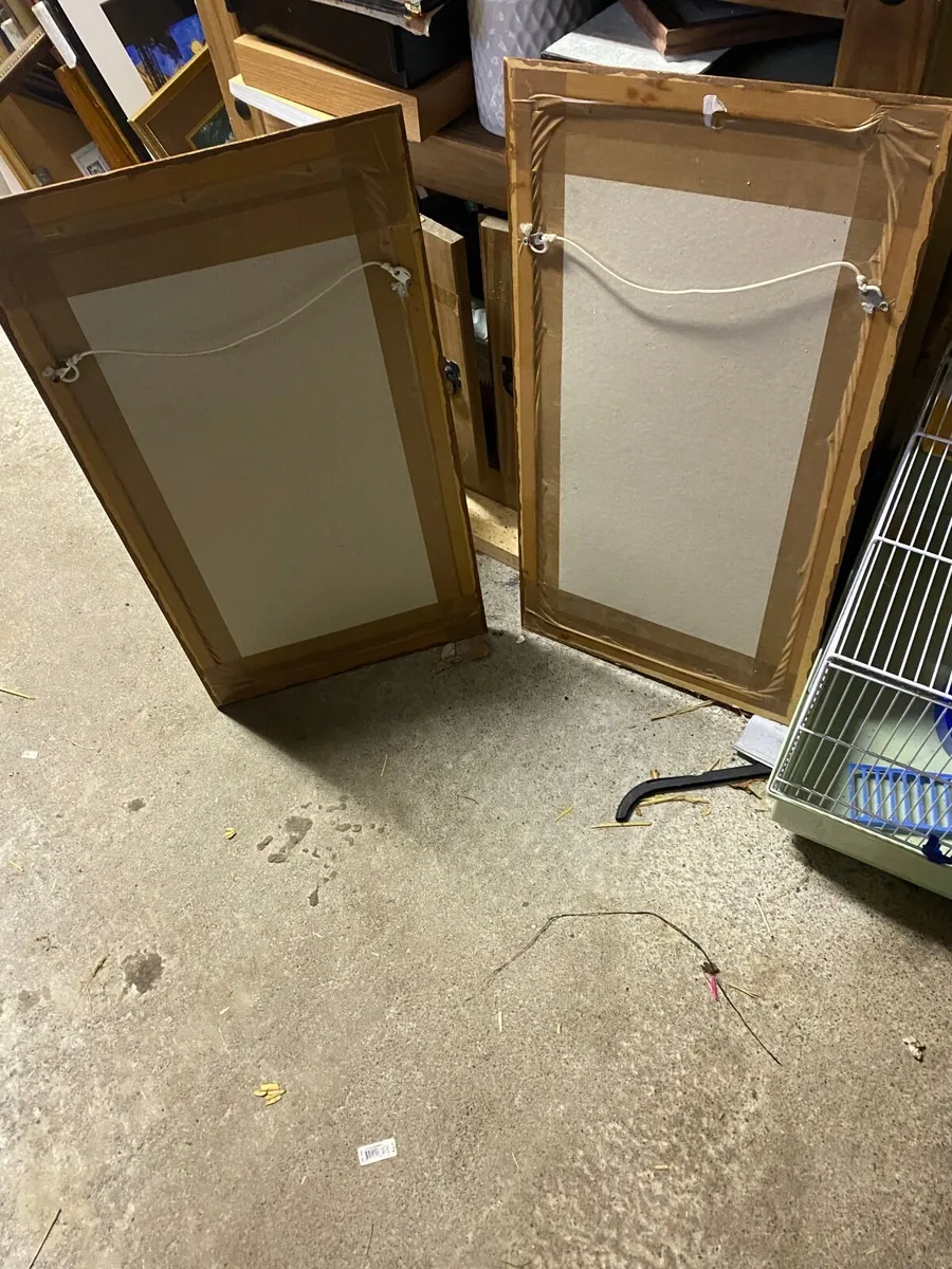 Pair of pictures - Image 4