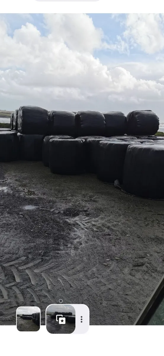 Silage bales - Image 2