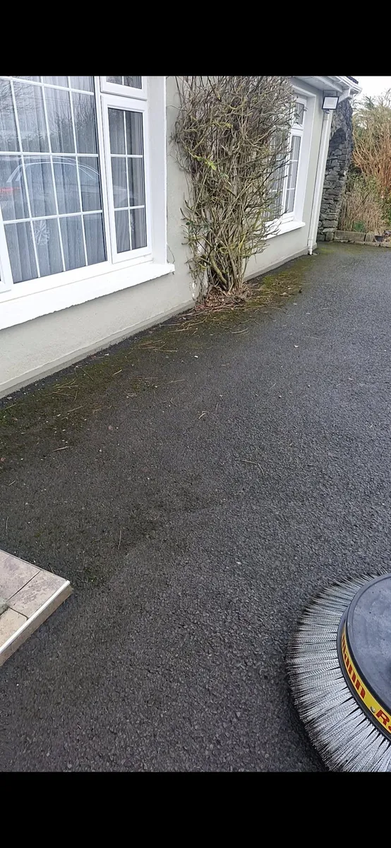 Moss removal - Image 2