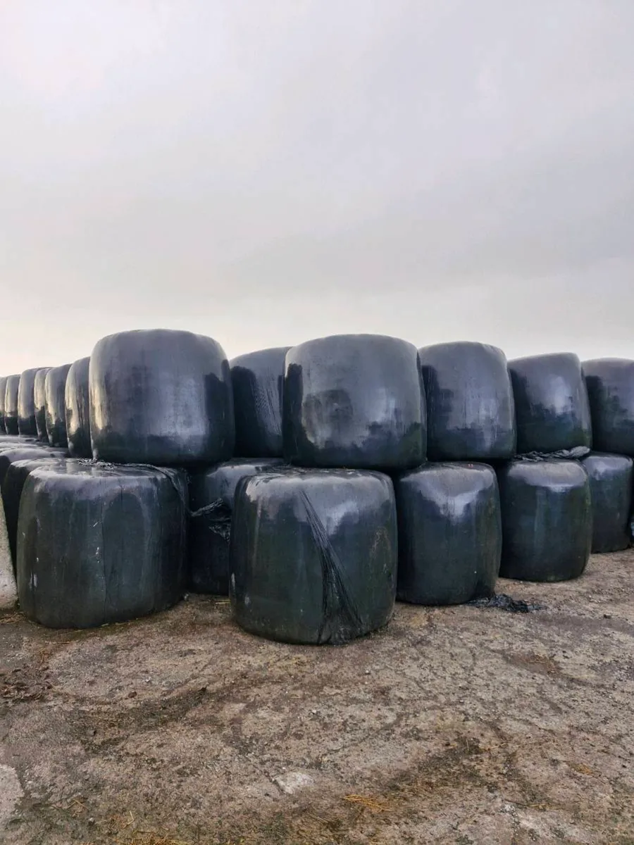 Silage bales
