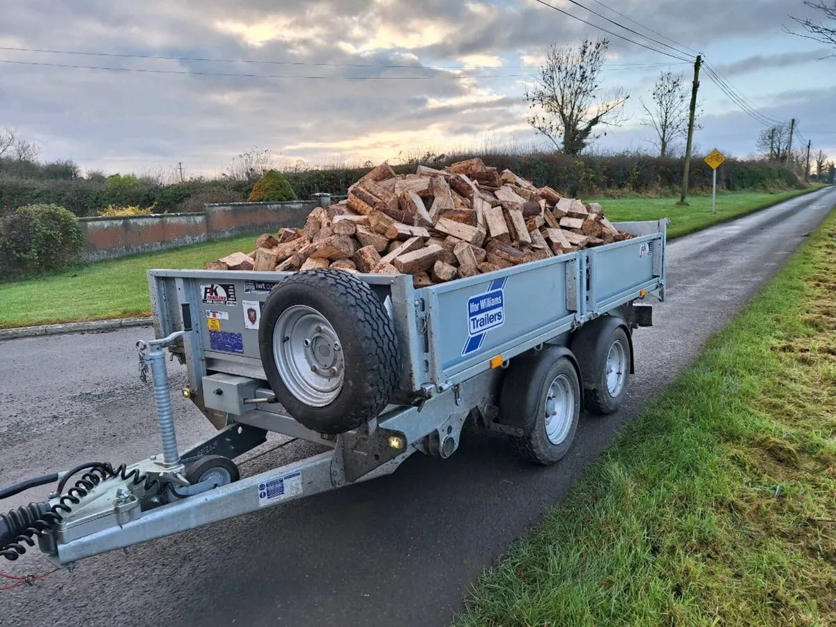 Softwood firewood - Image 2