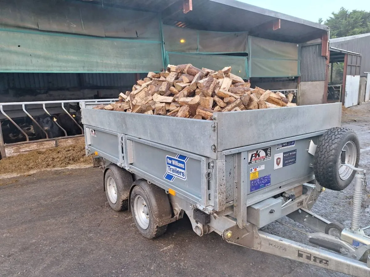 Softwood firewood - Image 4