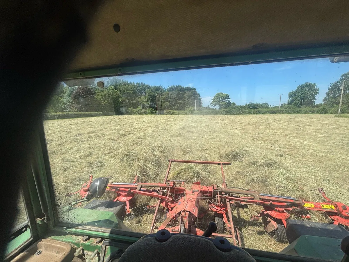 Organic hay - Image 1