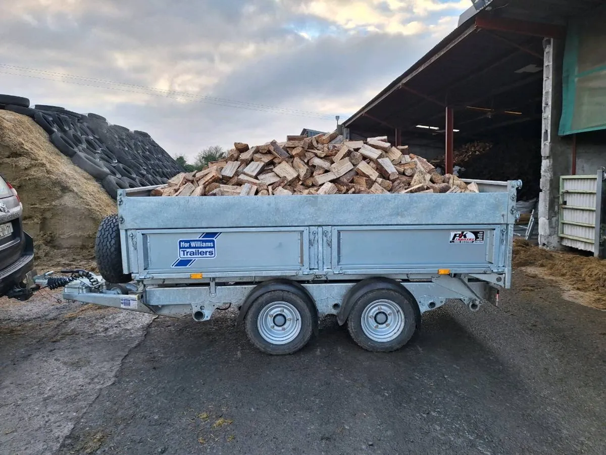 Softwood firewood - Image 2