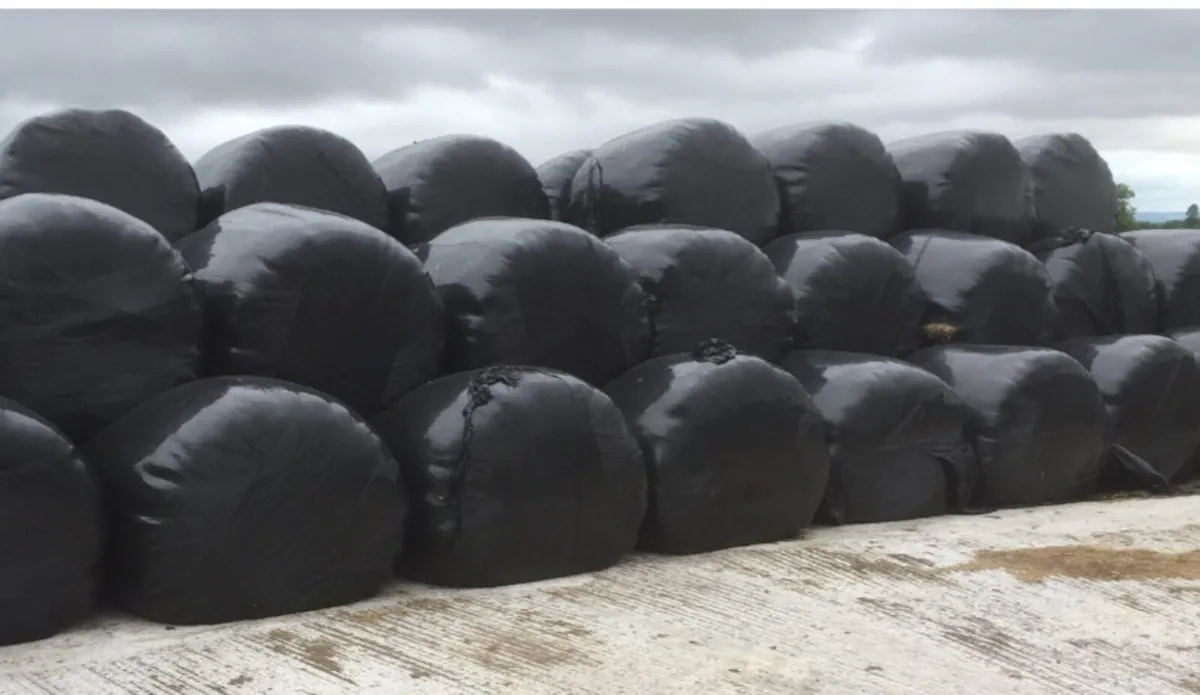 Silage bales